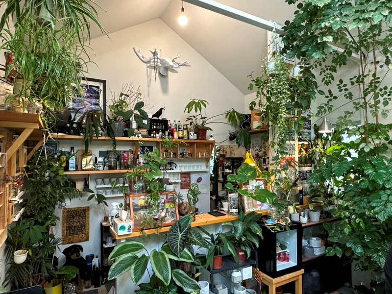 yonnokai09 新社-右之界 叢林謐境 綠意滿滿超美