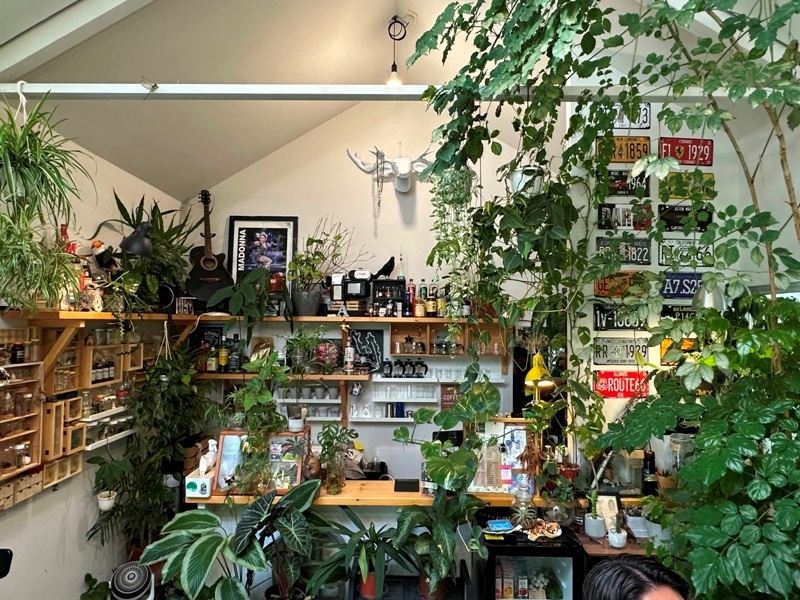 yonnokai10 新社-右之界 叢林謐境 綠意滿滿超美