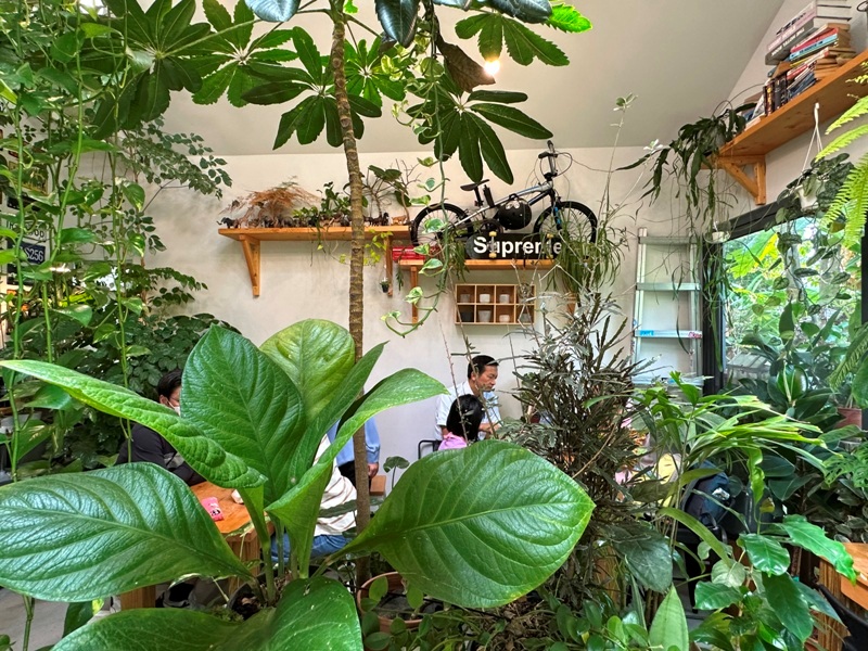 yonnokai11 新社-右之界 叢林謐境 綠意滿滿超美