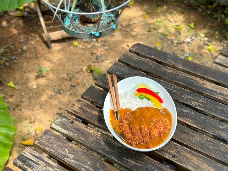 yonnokai12 新社-右之界 叢林謐境 綠意滿滿超美