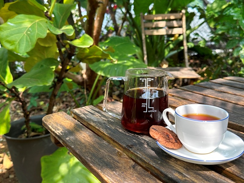 yonnokai13 新社-右之界 叢林謐境 綠意滿滿超美