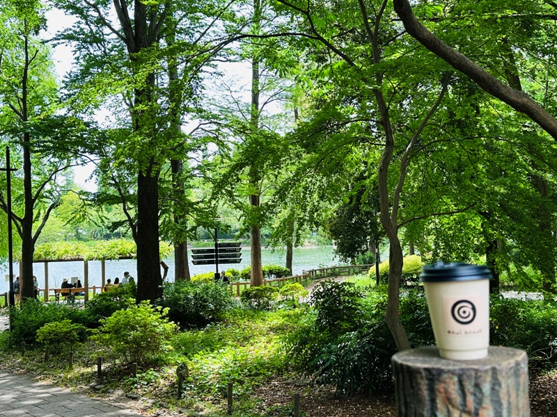 Kichiioji02 Kichijoji-風和日麗 初春綠意美不勝收在井之頭公園