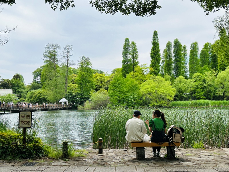 Kichiioji08 Kichijoji-風和日麗 初春綠意美不勝收在井之頭公園