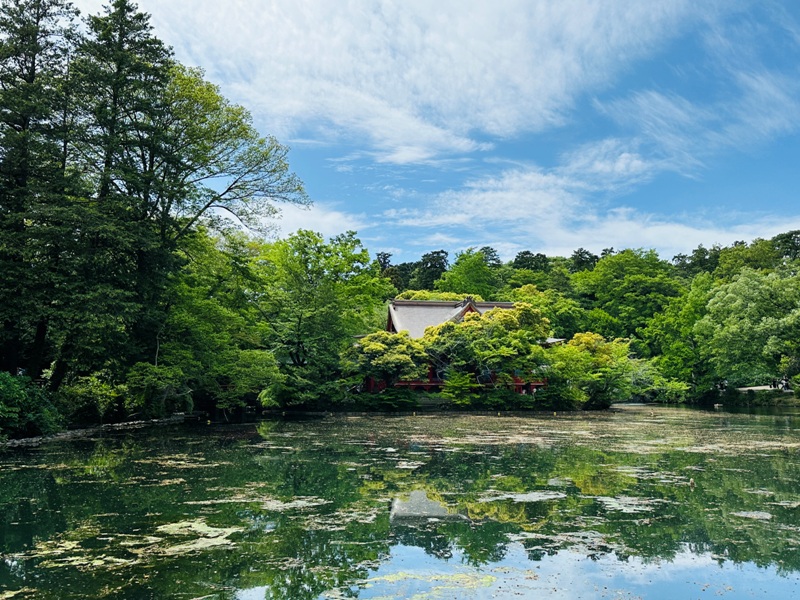 Kichiioji13 Kichijoji-風和日麗 初春綠意美不勝收在井之頭公園
