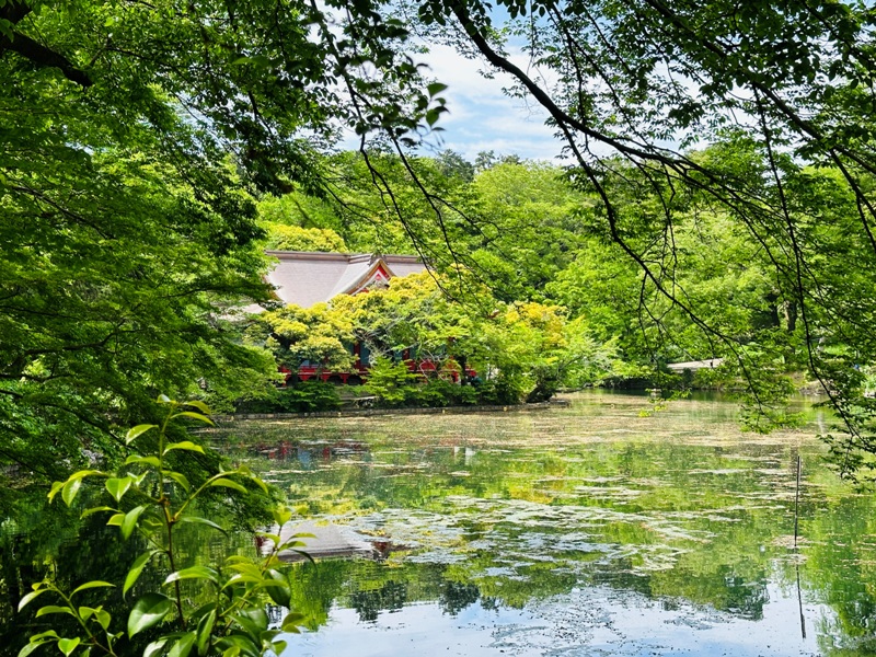 Kichiioji14 Kichijoji-風和日麗 初春綠意美不勝收在井之頭公園