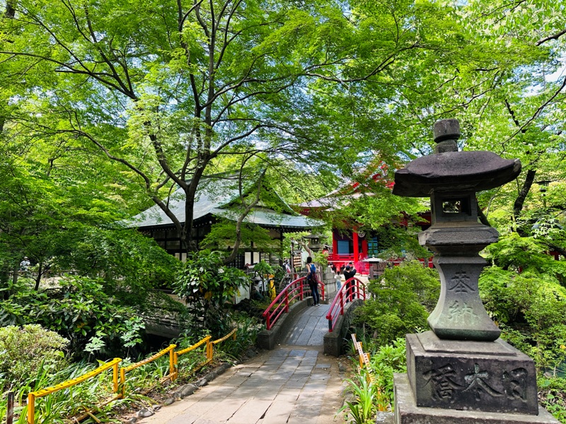 Kichiioji17 Kichijoji-風和日麗 初春綠意美不勝收在井之頭公園