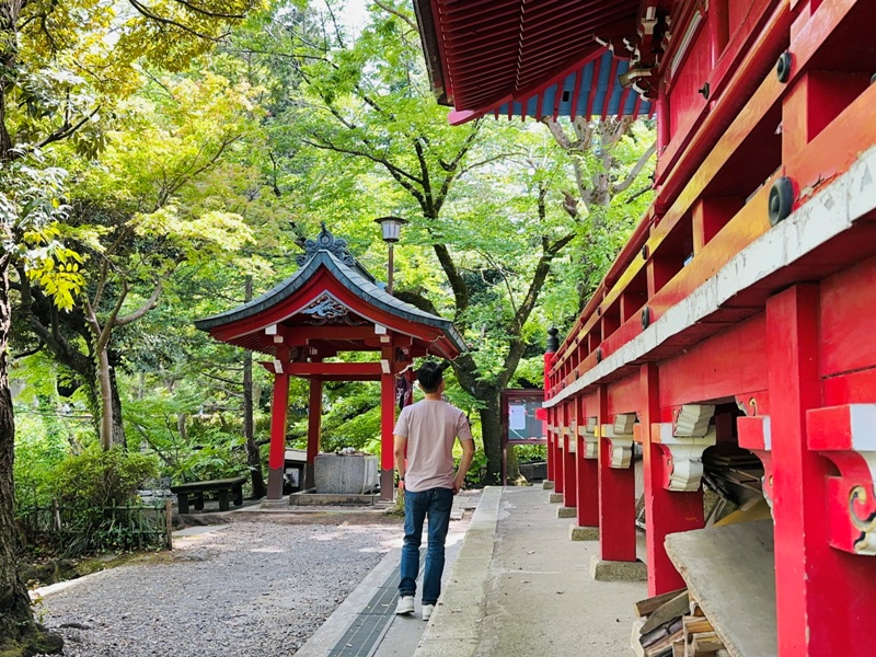 Kichiioji20 Kichijoji-風和日麗 初春綠意美不勝收在井之頭公園