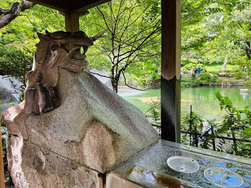 Kichiioji21 Kichijoji-風和日麗 初春綠意美不勝收在井之頭公園