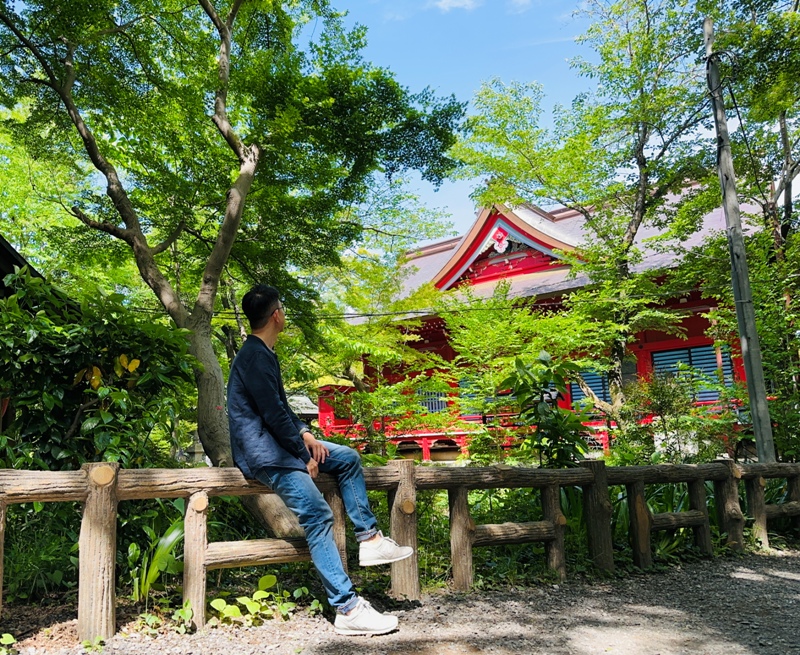 Kichiioji23 Kichijoji-風和日麗 初春綠意美不勝收在井之頭公園