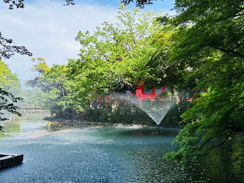 Kichiioji25 Kichijoji-風和日麗 初春綠意美不勝收在井之頭公園