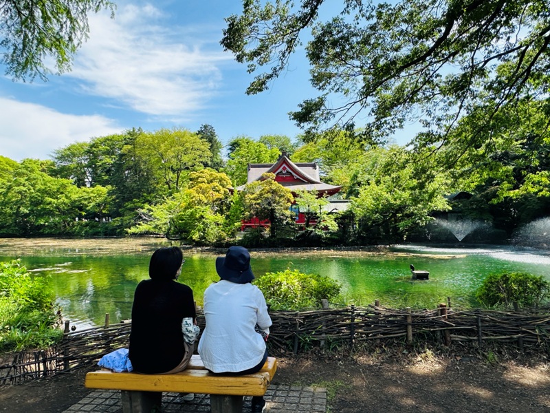 Kichiioji27 Kichijoji-風和日麗 初春綠意美不勝收在井之頭公園