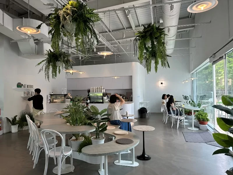 akau0101113-jpeg 苓雅-猻物咖啡(大港店) 來自屏東的熱情咖啡館