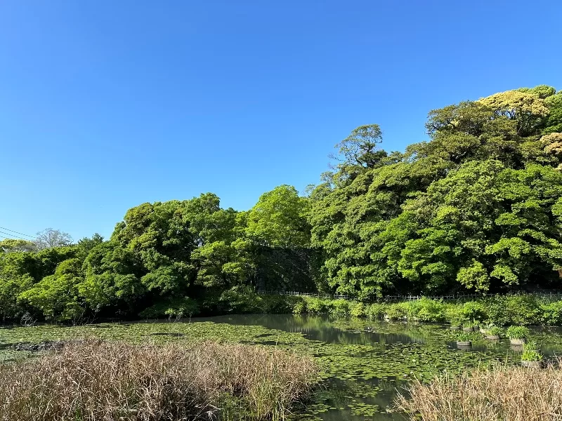 aohori0102-jpeg Fukuoka-福岡水景大濠公園散步紀錄 & LOCALS大濠公園放空 
