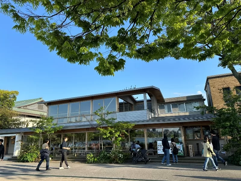 aohori0114-jpeg Fukuoka-福岡水景大濠公園散步紀錄 & LOCALS大濠公園放空 