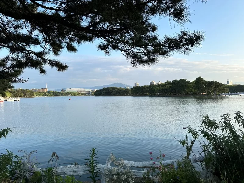 aohori0121-jpeg Fukuoka-福岡水景大濠公園散步紀錄 & LOCALS大濠公園放空 