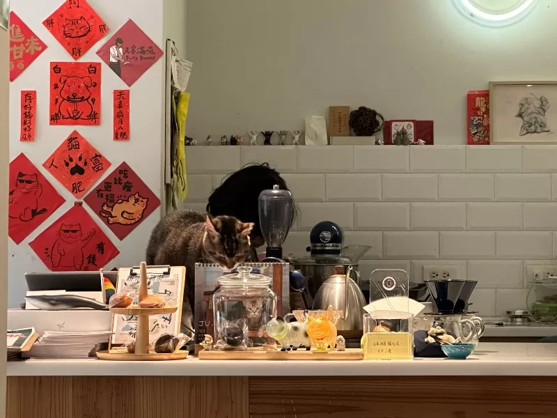 chillmoon09-jpeg 板橋-棲木咖啡 咖啡師與喵星人陪伴 身心都滿足