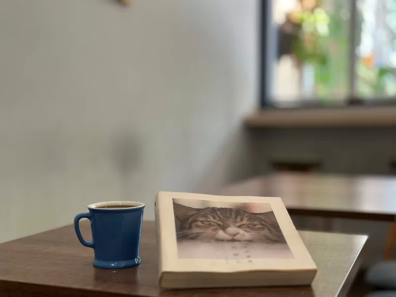 chillmoon12-jpeg 板橋-棲木咖啡 咖啡師與喵星人陪伴 身心都滿足