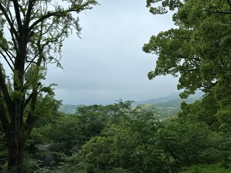 dazaifu18-jpeg Dazaifu-太宰府天滿宮 參拜學問之神/竈門神社 靜謐感受清幽
