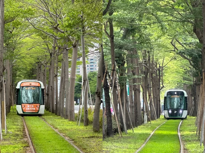 neiwei-jpeg 鼓山-內惟藝術中心 用眼睛用耳朵欣賞藝術 全白建築太網美