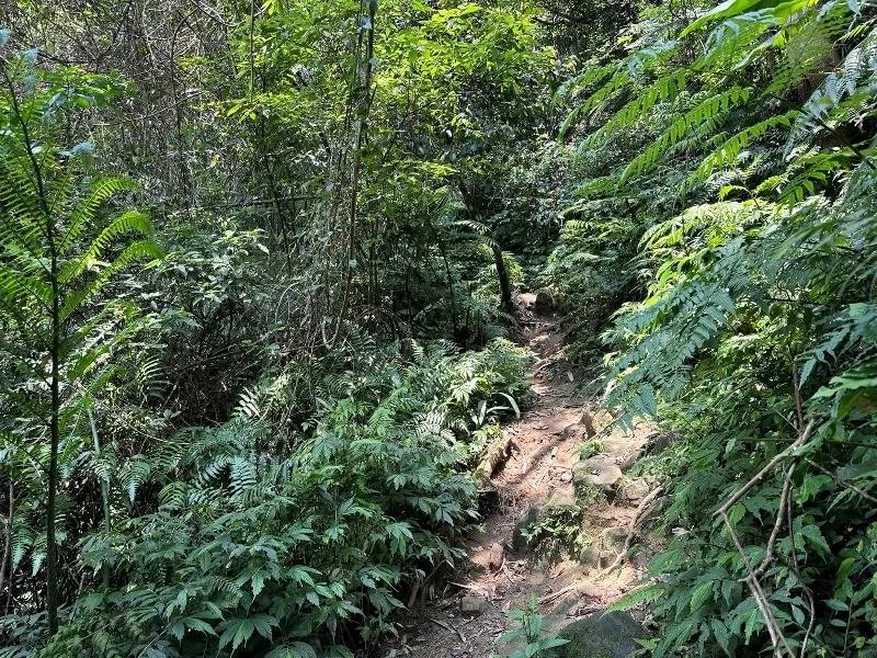 shiniuu09-jpeg 關西-景觀好路線多變 被震成兩半的石牛山巨石