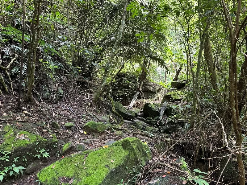 shiniuuuu05-jpeg 關西-景觀好路線多變 被震成兩半的石牛山巨石