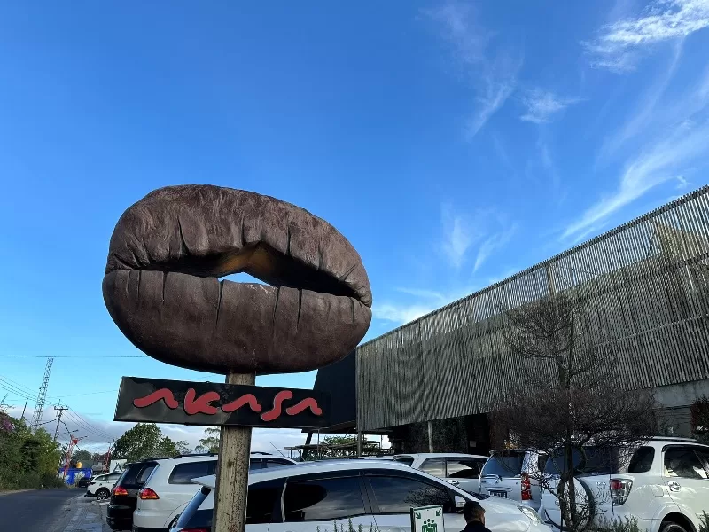 Devanora02-jpeg Bali-巴杜爾火山景觀第一排Devanora Hotel & Resto意外捕獲不擁擠賞山小店