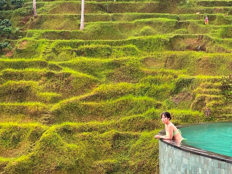 cretya012703 Bali-Cretya Ubud網美與她的產地 與雨共舞一上午 加碼梯田好景色