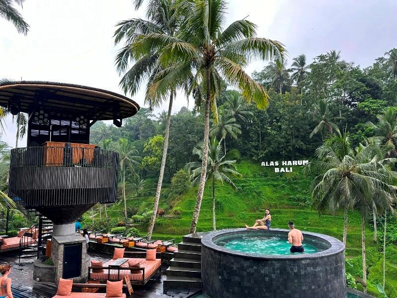 cretya012704 Bali-Cretya Ubud網美與她的產地 與雨共舞一上午 加碼梯田好景色