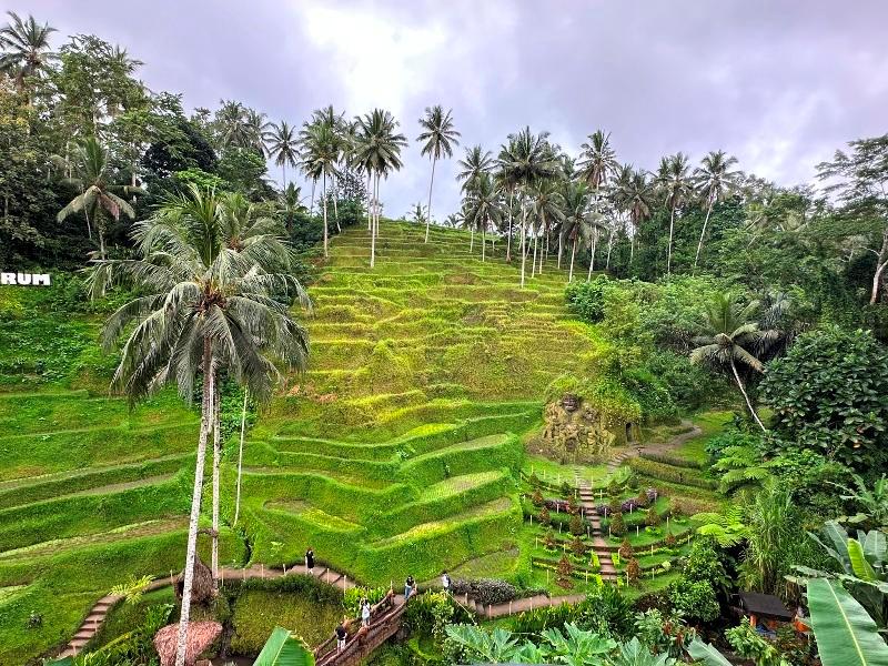 cretya012715 Bali-Cretya Ubud網美與她的產地 與雨共舞一上午 加碼梯田好景色