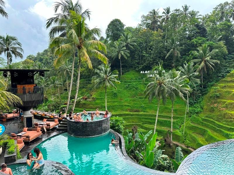 cretya012719 Bali-Cretya Ubud網美與她的產地 與雨共舞一上午 加碼梯田好景色