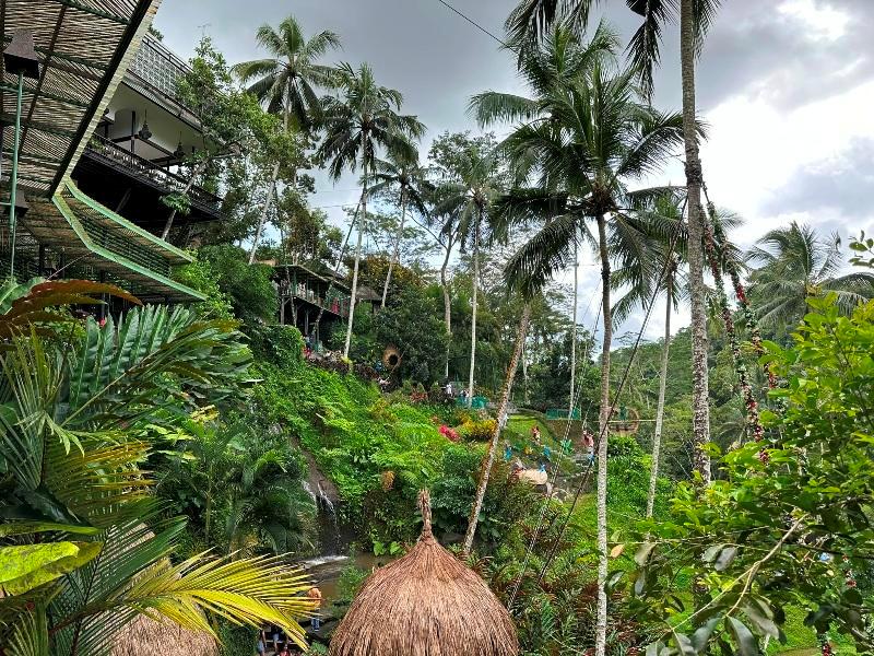 cretya012720 Bali-Cretya Ubud網美與她的產地 與雨共舞一上午 加碼梯田好景色