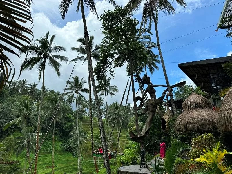 cretya012721-jpeg Bali-Cretya Ubud網美與她的產地 與雨共舞一上午 加碼梯田好景色