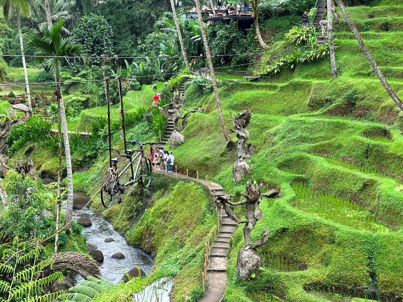 cretya012723 Bali-Cretya Ubud網美與她的產地 與雨共舞一上午 加碼梯田好景色