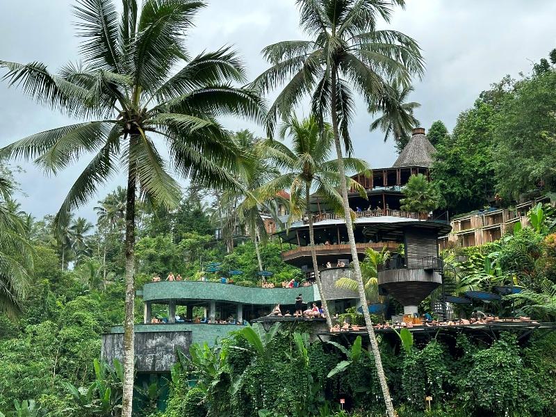 cretya012724 Bali-Cretya Ubud網美與她的產地 與雨共舞一上午 加碼梯田好景色