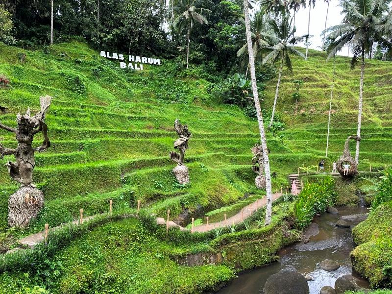 cretya012725 Bali-Cretya Ubud網美與她的產地 與雨共舞一上午 加碼梯田好景色