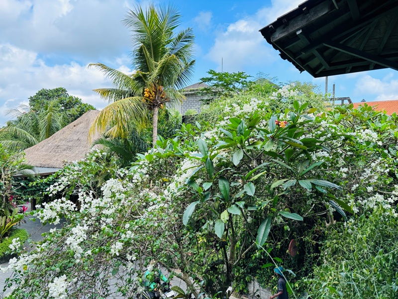 herblibrary07 Bali-Herb Library又美又舒適 烏布峇里島風格餐廳