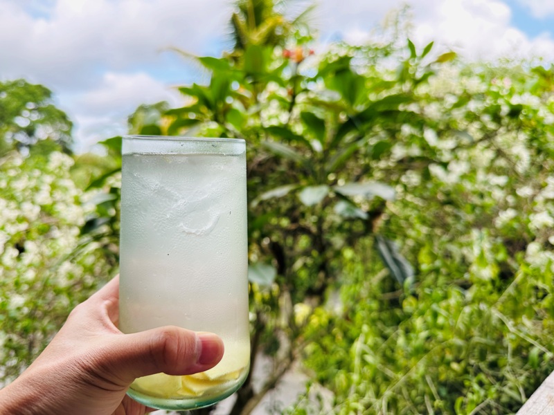 herblibrary09 Bali-Herb Library又美又舒適 烏布峇里島風格餐廳