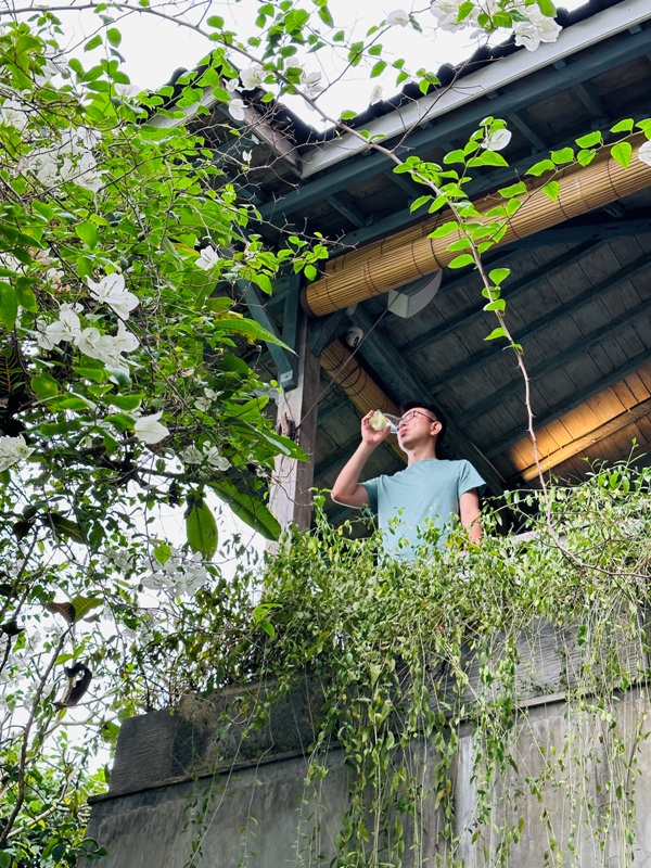 herblibrary12 Bali-Herb Library又美又舒適 烏布峇里島風格餐廳