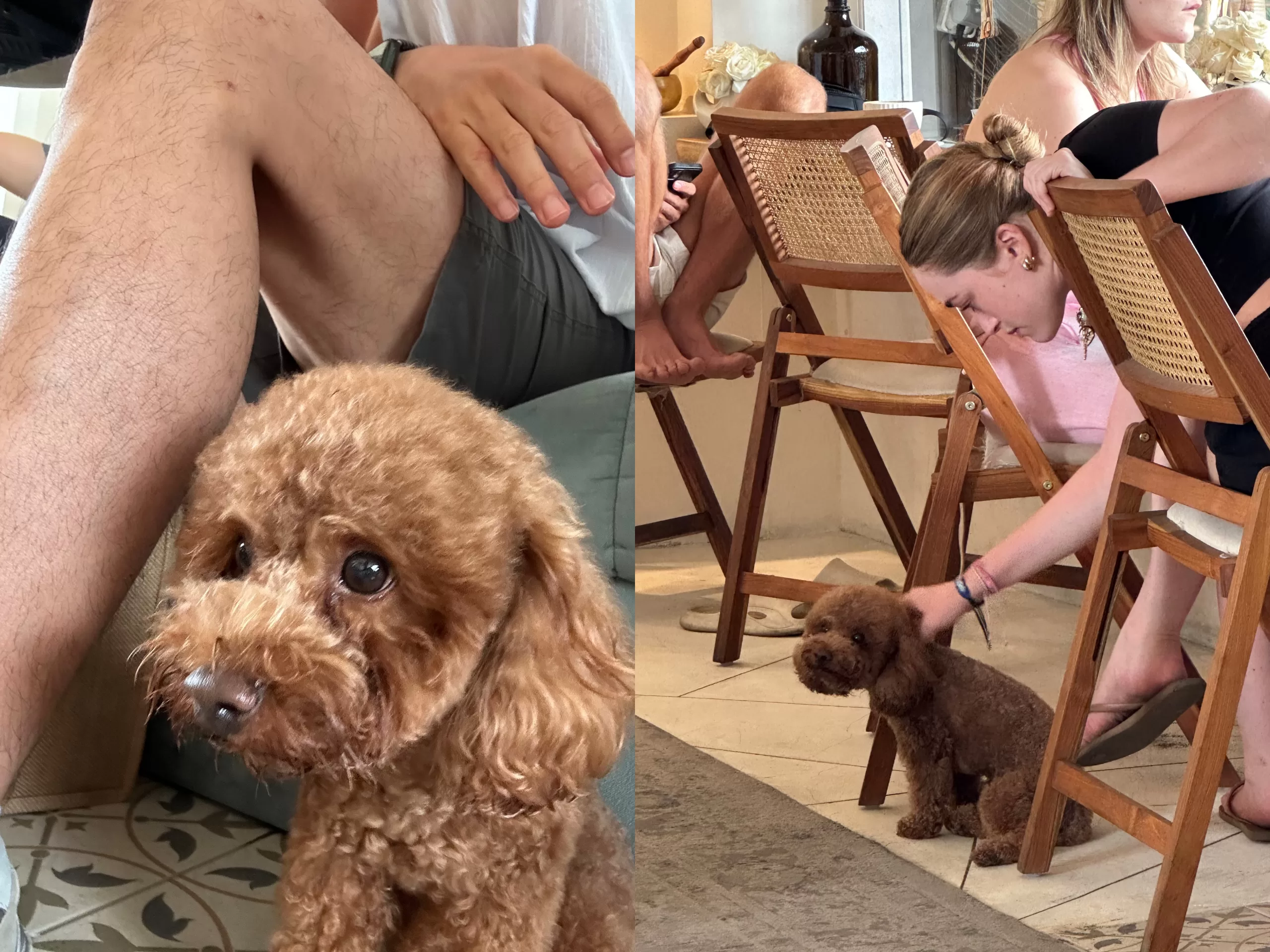 homecafeee-scaled Bali-Home Cafe韓風飄到峇里島Canggu青春洋溢