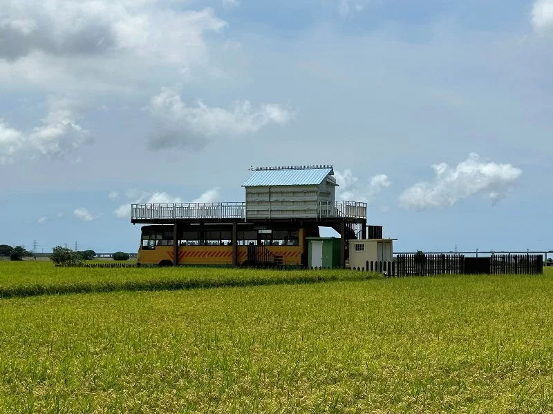 mijing03-jpeg 外埔-蜜境 藍天下的滿是稻香的金黃 忘憂谷的歇腳處