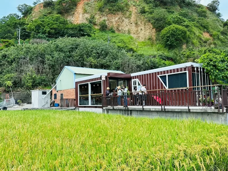 mijing06-jpeg 外埔-蜜境 藍天下的滿是稻香的金黃 忘憂谷的歇腳處