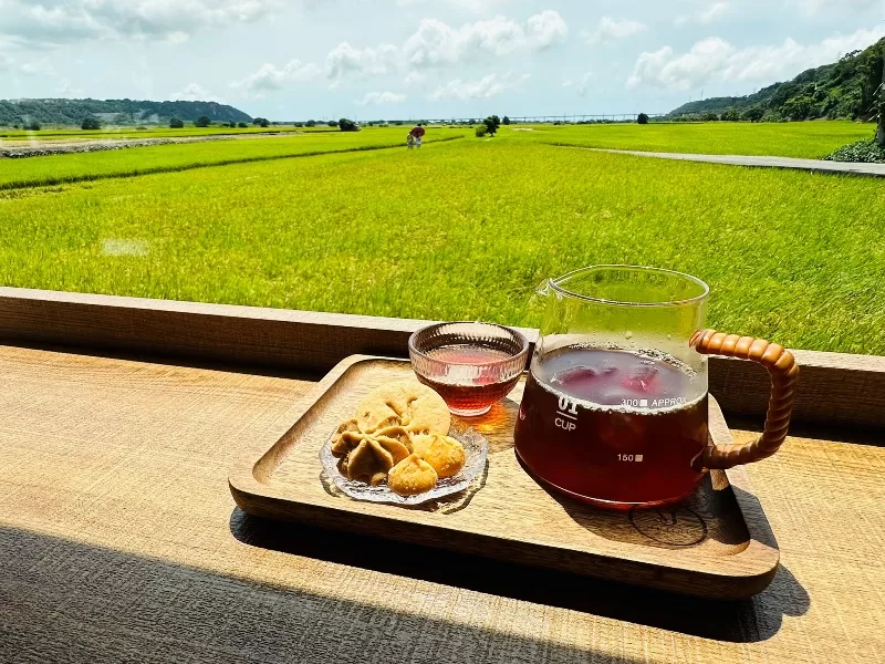 mijing11-jpeg 外埔-蜜境 藍天下的滿是稻香的金黃 忘憂谷的歇腳處