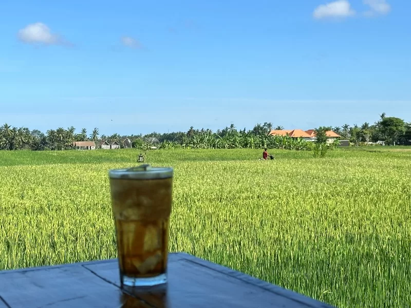 Bali-Omah Kitchen Bali夏日午後的田間午茶時間 好輕鬆