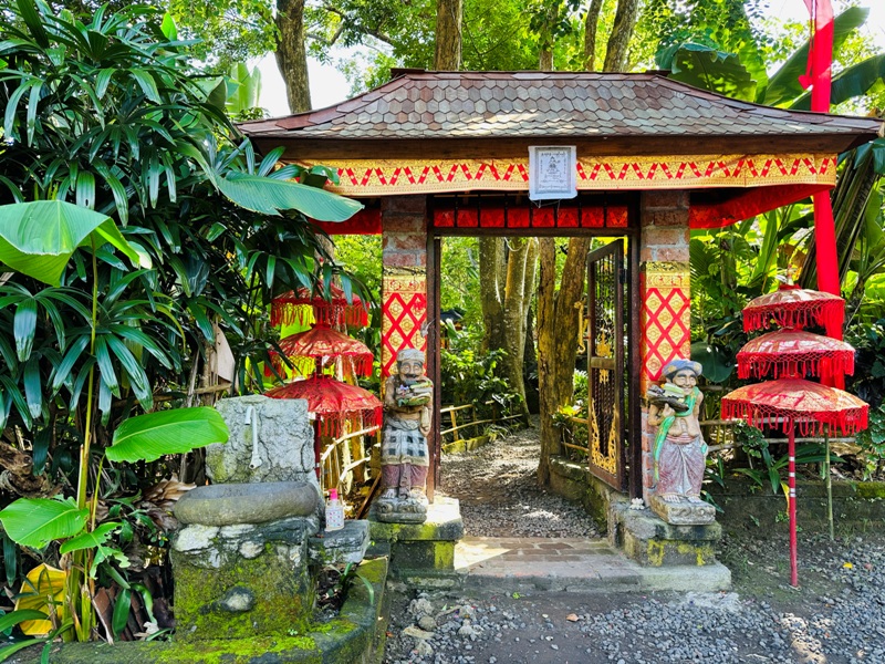 pecatubali02 Bali-咖啡莊園體驗麝香貓咖啡Bukit Sari Pecatu Agro (Luwak Coffee)