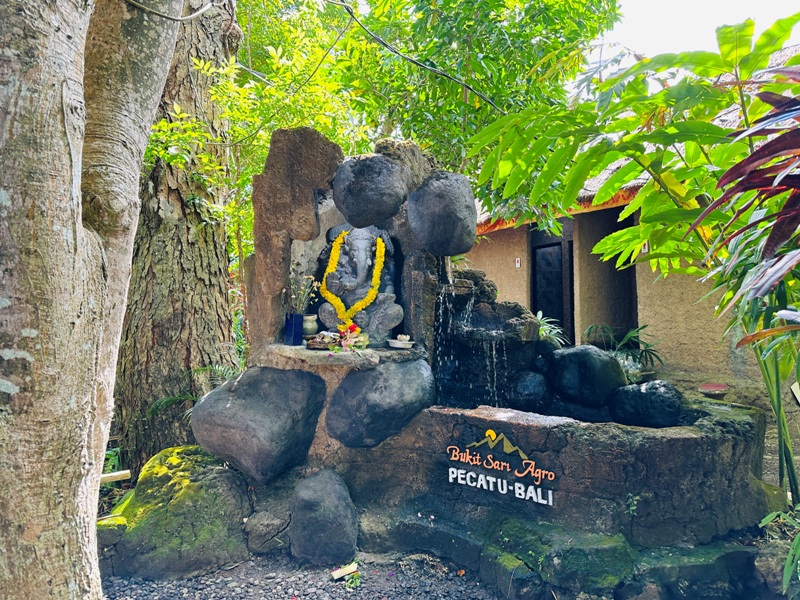 pecatubali03 Bali-咖啡莊園體驗麝香貓咖啡Bukit Sari Pecatu Agro (Luwak Coffee)