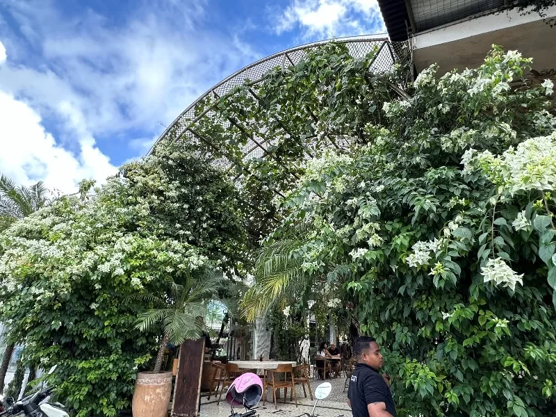 pennylane01-jpeg Bali-Canggu區 生意盎然的網美咖啡Penny Lane