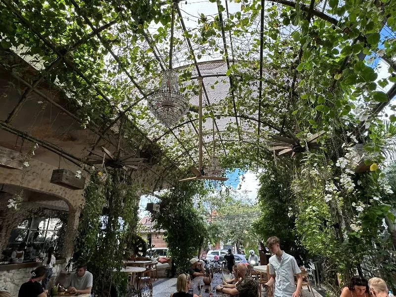 pennylane07-jpeg Bali-Canggu區 生意盎然的網美咖啡Penny Lane