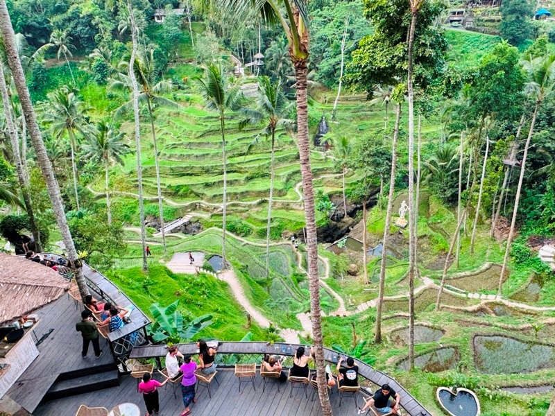 uma02 Bali-Tegallalang德哥拉朗梯田 Uma Ceking Resto and Swing烏布世界文化遺產