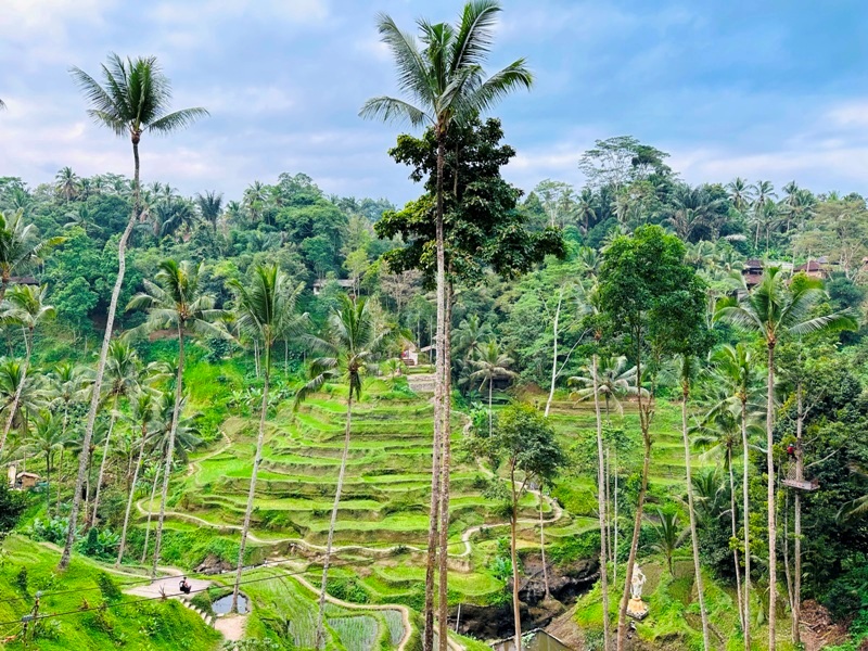 uma03 Bali-Tegallalang德哥拉朗梯田 Uma Ceking Resto and Swing烏布世界文化遺產