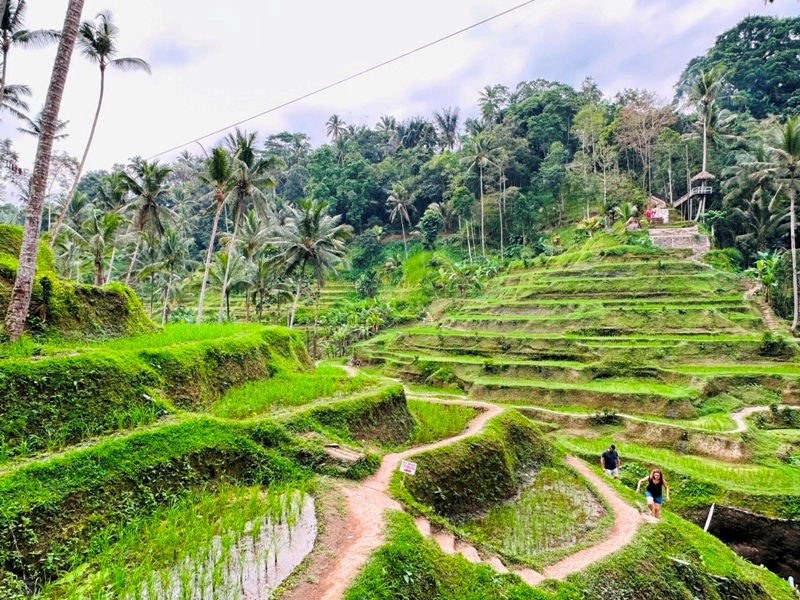 uma09 Bali-Tegallalang德哥拉朗梯田 Uma Ceking Resto and Swing烏布世界文化遺產